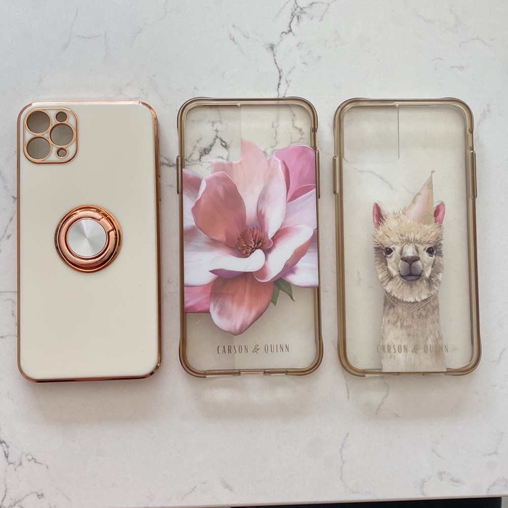 iPhone 11 promax case bundle
